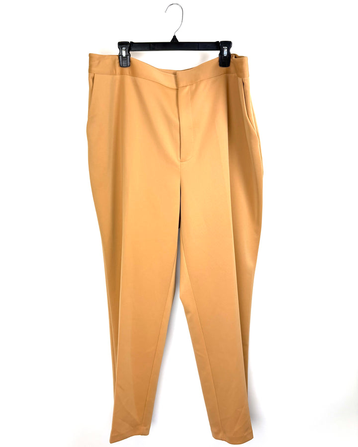 Tan Dress Pants - Size 2X