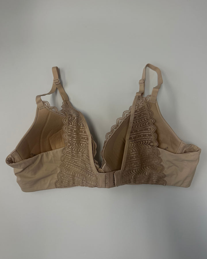 Nude with Brown Lace Bra - 34B