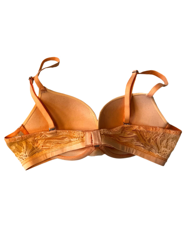 Peachy Orange Lace Push Up Bra - 34B