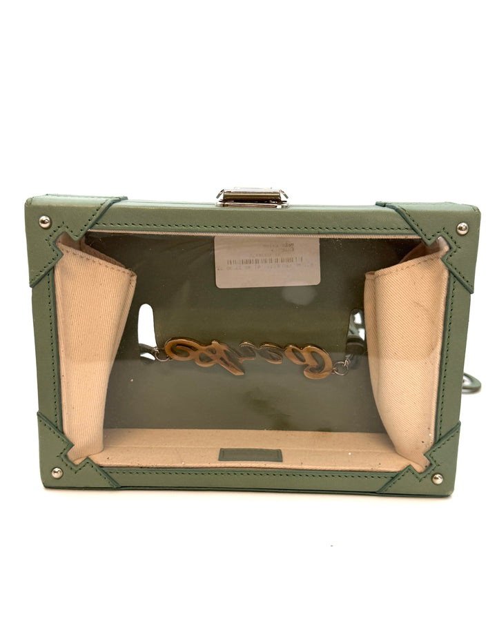 Muted Green Clear Belt Bag