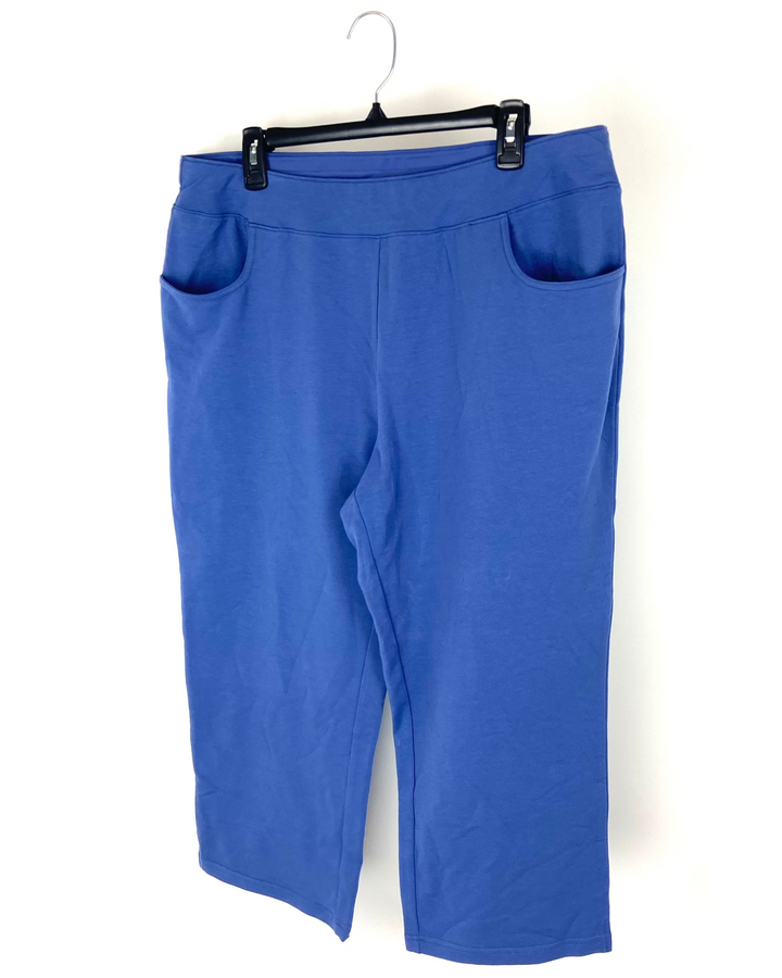 Blue Cropped Pants - Size 14-16