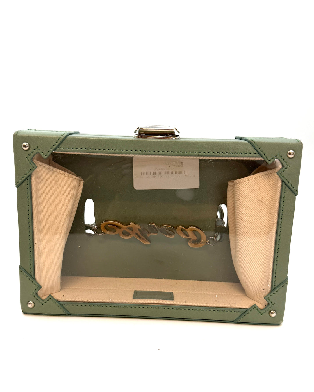 Muted Green Clear Belt Bag