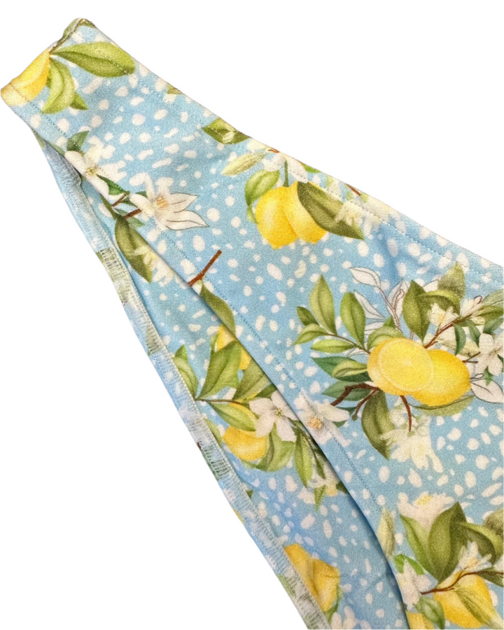 Blue Lemon High Cut And Cheeky Bikini Bottom - Extra Extra Large