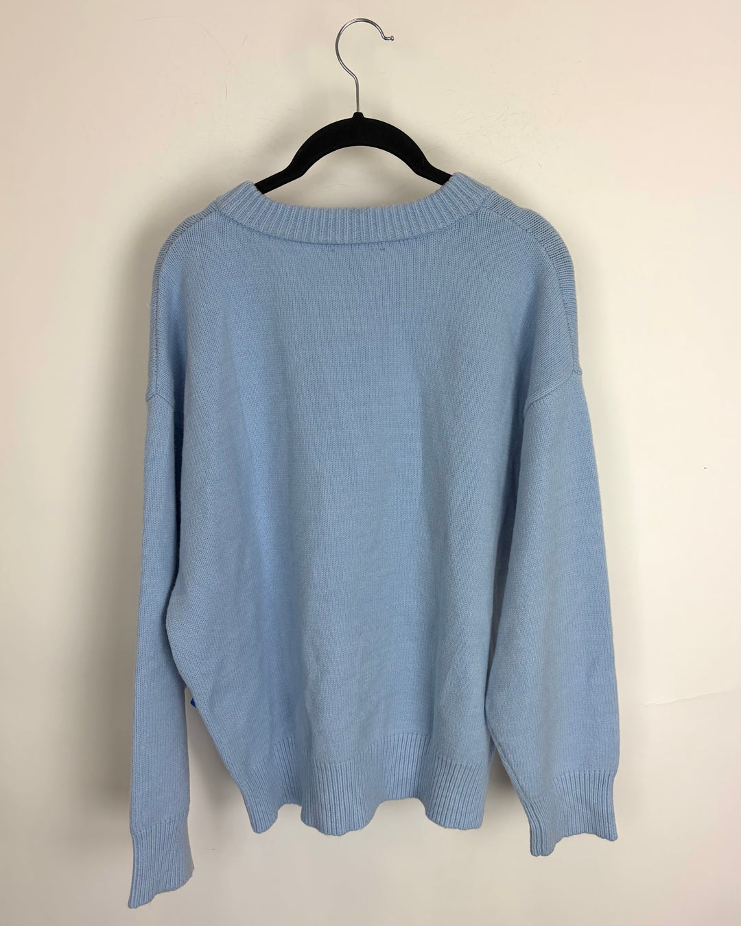 Pastel Blue V-Neck Sweater - 1X