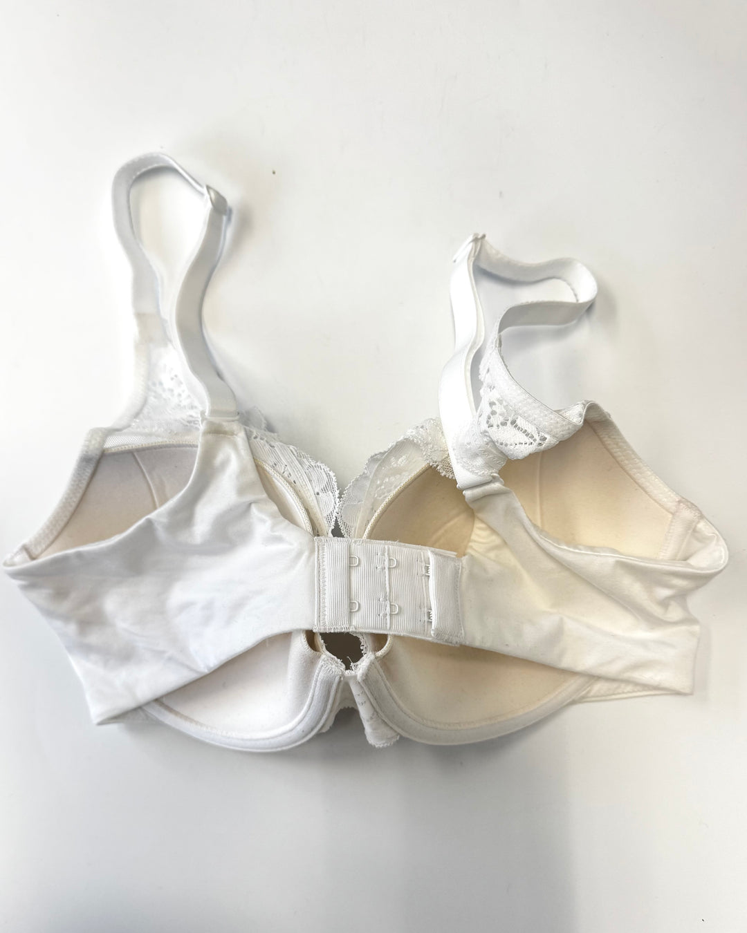 Glacier White Petal Lace Bra with Cups- 34C
