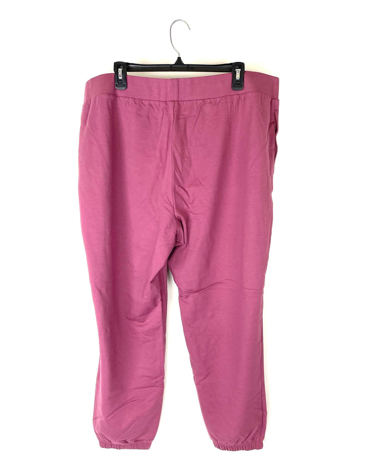 Burgundy Joggers - 1X
